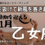 乙女座♍️11月💫心身の回復から始まる大逆転劇🎊🙌🏻✨正直乙女座は怒っていた😵
