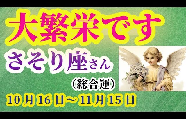 【 蠍座】2025年 10月後半のさそり座の総合運。#蠍座 #さそり座