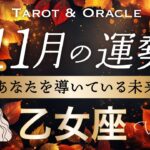 【乙女座♍️11月運勢】スッキリ霧が晴れる🌞人間関係の課題終了！大浄化のエネルギーです👏タロット＆オラクル／Tarot&Oracle card reading／Virgo