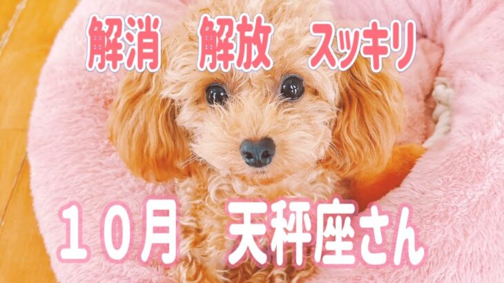 天秤座　１０月　流れが良くなる　さらに飛躍チャンス　願望成就に向かって