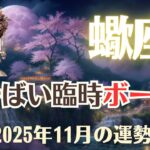 【蠍座】2025年11月「さそり座の運勢」