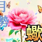 【蠍座】11月の運勢❤️神回！！ちょっとこれは最高すぎる😳シンクロ神展開🌈愛の大復活❤️‍🔥宇宙の時刻合わせ完了🎁マンスリー　2025年　タロット占い