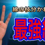 最強との呼び声高い枝分かれの手相について