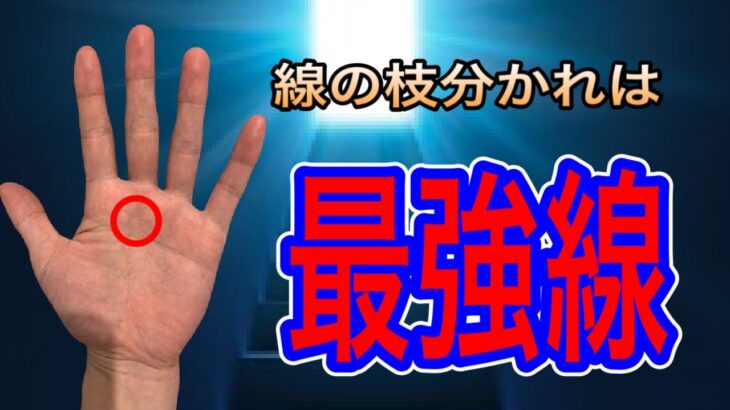 最強との呼び声高い枝分かれの手相について