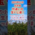 【牡羊座】2025年11月おひつじ座占い #牡羊座 #おひつじ座 #shorts