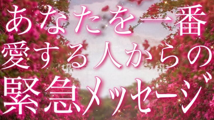 【恋愛】あなたを一番、愛している人からの緊急メッセージ😵⚡️🩷📩直感🔮タロットリーディング