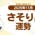 【さそり座】2025年11月の運勢