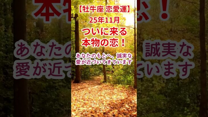 【牡牛座】2025年11月おうし座恋愛運占い #牡牛座 #おうし座 #shorts