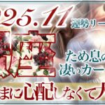 【かに座さん👑】11月あなたに起こること🔮大興奮‼️大抜擢・復活の兆し👏✨安定・安心して高みへ向かう✨11月の蟹座さんは勢いが違う💫スピーディーな展開❤️【タロット・ルノルマン・オラクルカード占い】