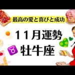 牡牛座、レベルが違う。凄いことが起ころうとしてる。予想外の喜びと成功。　2025年11月全体運勢♉️仕事や恋愛不安解消評価や印象【個人鑑定級タロットヒーリング】