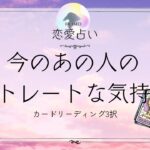 今のあの人のストレートな気持ち🦋恋愛タロット占い【片思い/復縁/複雑】🦋あの人の気持ち・相手の気持ち