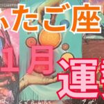 ふたご座11月の運勢～オリジナルの人生ストーリーを生きていい～