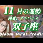 ♊️双子座  【2025.11月の運勢】  人との繋がりを大切に🌈新たな未来が広がっていく✨✨