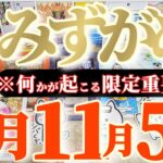 水瓶座さんへ11月前半この日が凄い👑【断然！出た完璧なカード🎀素晴らしいを授かりものですね】✡️キャラ別鑑定付き✡️　