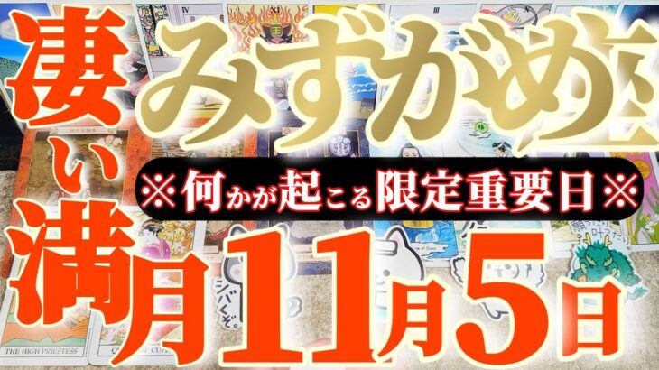 水瓶座さんへ11月前半この日が凄い👑【断然!出た完璧なカード🎀素晴らしいを授かりものですね】✡️キャラ別鑑定付き✡️