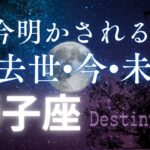 獅子座の過去世•今•未来🔮[霊視リーディング]今世のカルマと訪れる未来✨