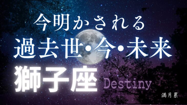 獅子座の過去世•今•未来🔮[霊視リーディング]今世のカルマと訪れる未来✨