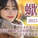 2025年11月の蠍座（さそり座）の運勢　生まれ変わる月🦂✨運命が動き出す「再生と覚醒」のシーズン！恋も仕事も新展開へ！