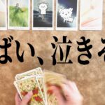 【準備はいいですか？】もうすぐ終わること、そして始まること😭【タロット占い】目に止まった方はぜひご視聴ください【恋愛・仕事・願望】