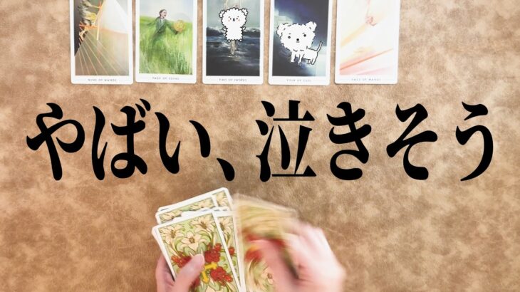 【準備はいいですか？】もうすぐ終わること、そして始まること😭【タロット占い】目に止まった方はぜひご視聴ください【恋愛・仕事・願望】