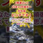 【牡牛座】2025年10月後半～おうし座開運占い #牡牛座 #おうし座 #shorts