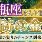 【水瓶座】覚醒開始！才能と金運がリンクして実り倍増✨ ／ 奇跡の金運💰 ／ 秋の実りリーディング［オラクル＆タロット占い］