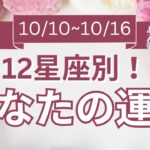 【今週の運勢は？】10/10～10/16 12星座運勢リアルタイム鑑定🌈🐇✨【開運占い師と振り返る1週間】最近あった良いこと、嬉しいこと教えて～！