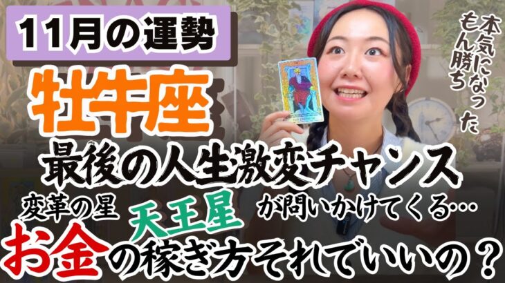 一番やりたいことからやるだけ。人生変わるレベル【牡牛座11月の運勢】
