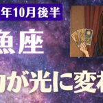【魚座】 2025年 10月後半 うお座の運勢「努力が光に変わる瞬間」