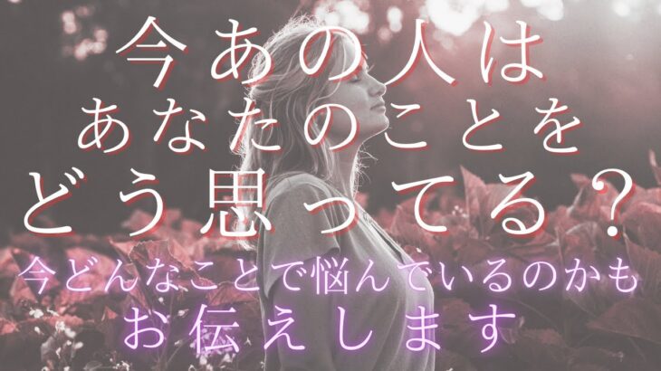 今あの人はあなたのことをどう思ってる?あの人の気持ち、伝えたいこと。【 恋愛 タロット オラクル カード 占い 】