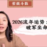 2026流年运势（十一）：破军坐命｜紫微斗数｜流年运势｜丙午年｜破军坐命