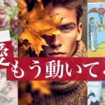 【緊急！】恋愛に起きるキセキの展開！大展開あり！お相手の気持ちが見えました！出会いの人もいいこと【タロット 恋愛 占い的ストーリー】No.623