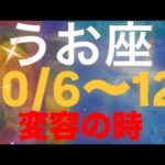 うお座✨10/6～12🌈変容、うお座が生まれ変わるとき♓️ #占い #タロット占いうお座 #タロット占い魚座 #tarot #タロット #タロット占い恋愛