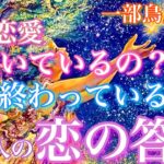 【🦋一部鳥肌神回💞】この恋愛、続いてるの？終わってるの？あの人の恋の答え🦋