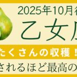 【乙女座】10月後半⭐️うらやましい！収穫！無限の豊かさ！ 夢を叶えるために動き始めるタイミング！  オラクルカードリーディング