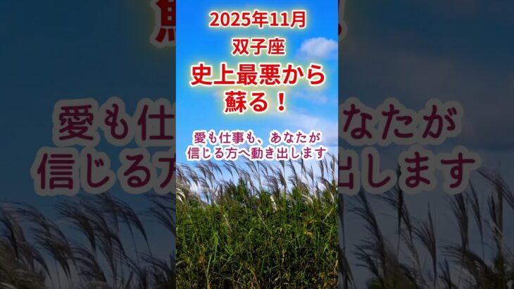 【双子座】2025年11月ふたご座占い #双子座 #ふたご座 #shorts