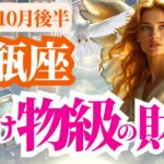 【水瓶座】2025年10月後半みずがめ座の化け物級の財運