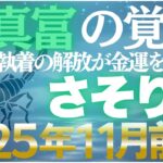 【蠍座♏金運】11月前期は魂の覚醒期✨深淵を越えて真の富へ【12星座】