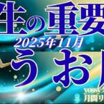 11月の運勢🧚うお座　この変化…ただごとじゃない！11月は別次元に突入します✨もっと自分を出していい！(お金・仕事・人間関係)