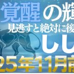 【獅子座♌金運】11月前期は輝きの好機✨堂々とした存在感が富を引き寄せる【12星座】