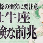 【緊急】「今すぐみて‼️」涙けるほど当たってる…😭 牡牛座さん11月は人間関係の混乱がありそうです。重要メッセージをお伝えします。【運勢タロット占い】