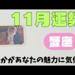 【蟹座】11月の運勢🌈▼タロットカード&オラクルカード&ルノルマンカード占い