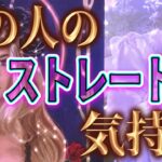 【あなたへの視線💘相手の気持ち】片思い複雑恋愛タロットカードリーディング👸個人鑑定級占い🔮