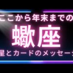 【蠍座】お誕生日シーズンから始まる年末までの祝福された流れ