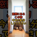 【要注意】窓際の今すぐ処分すべき最悪なモノ #shorts #風水 #金運 #金運アップ