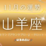 【山羊座🌟11月の運勢】グランタブローで占う『全体運・仕事運・対人運』🤗ルノルマンカード・タロットカード・オラクルカード