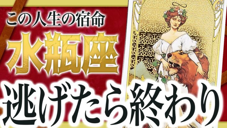 【緊急】水瓶座が今知るべきこと。11月人生の『重大局面』が来ます Akari先生