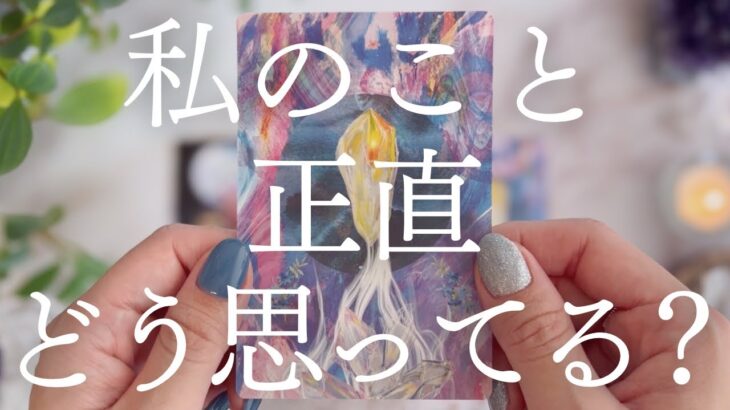 【最新💗本音】これが今の正直な気持ちです🔮【恋愛タロット】【あの人の気持ち】