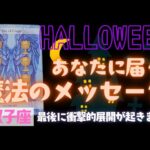 【双子座】魔法のメッセージ🎃🎉▼タロットカード&オラクルカード&ルノルマンカード占い