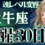 【牡牛座】【神運】11月‥鳥肌モンです。今辛いなと感じる全ての牡牛座さんへ💐魂レベルの強運期【星読みタロット】